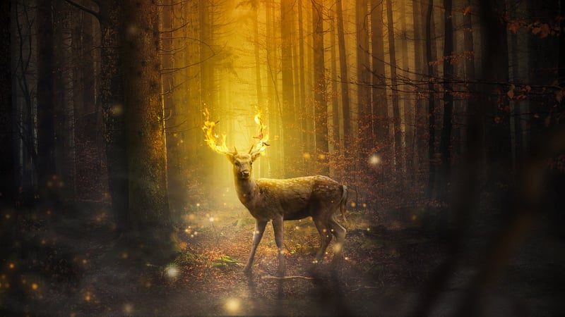 Autumn Enchantments